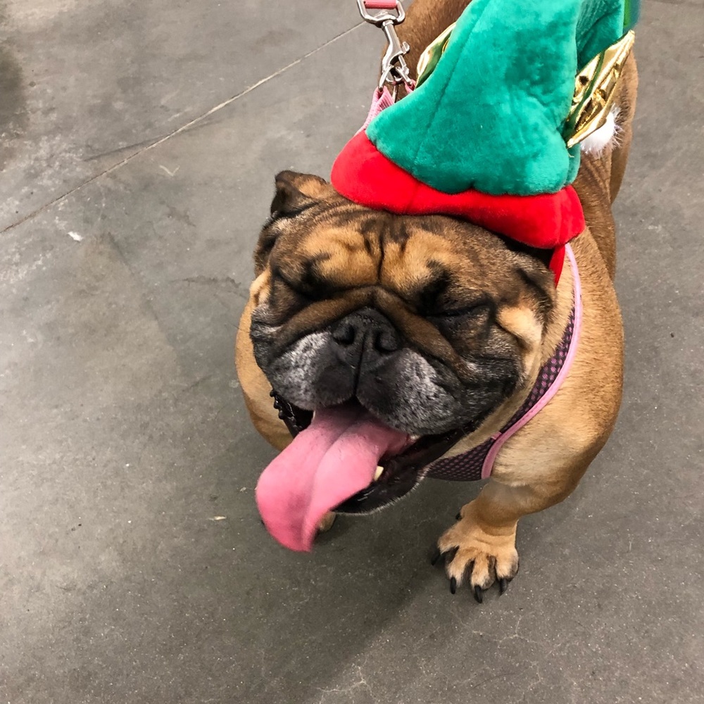 Meet your Posher, Joseph